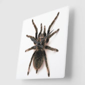 Tarantula Spider Wall klok (Hoek)
