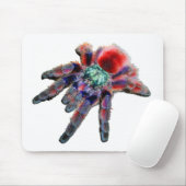 Tarantula spin, arachnid, grote blauwe/rode spin muismat (Met muis)