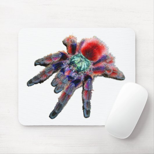 Tarantula spin, arachnid, grote blauwe/rode spin muismat (Met muis)