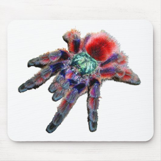 Tarantula spin, arachnid, grote blauwe/rode spin muismat (Voorkant)