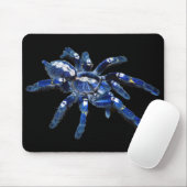 Tarantula spin, arachnid, grote blauwe spin/zwart muismat (Met muis)