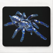 Tarantula spin, arachnid, grote blauwe spin/zwart muismat (Voorkant)