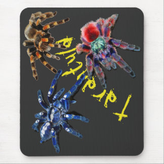 Tarantula spin, blauwe spin, rode spin, spinnen muismat