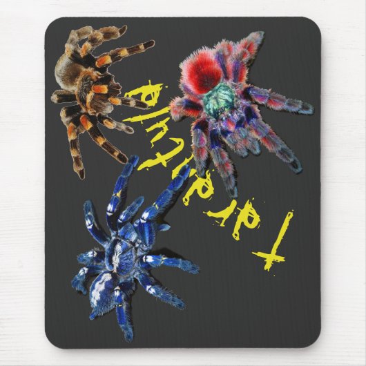 Tarantula spin, blauwe spin, rode spin, spinnen muismat (Voorkant)