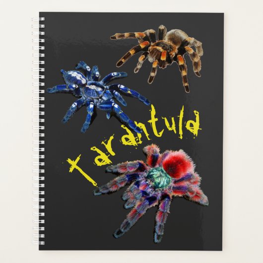 Tarantula spin, blauwe spin, rode spin, spinnen planner (Voorkant)