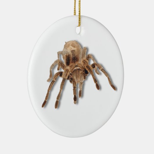 Tarantula spin keramisch ornament (Rechts)