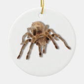 Tarantula spin keramisch ornament (Voorkant)