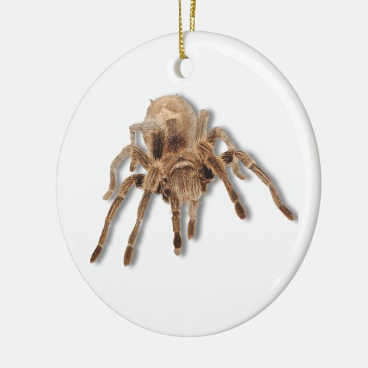Tarantula spin keramisch ornament (Links)