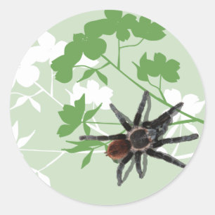 Tarantula spin op dogwood bloesem design sticker