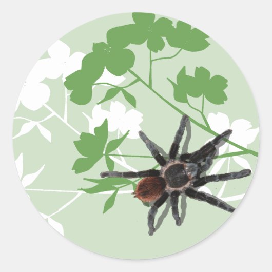 Tarantula spin op dogwood bloesem design sticker (Voorkant)