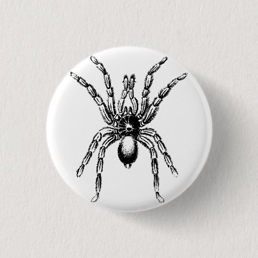 tarantula spin ronde button 3,2 cm (Voorkant)