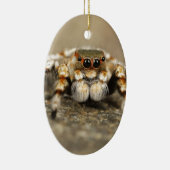 Tarantula Springende Vogelspin awesome accessoires Keramisch Ornament (Rechts)