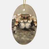 Tarantula Springende Vogelspin awesome accessoires Keramisch Ornament (Links)