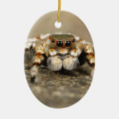 Tarantula Springende Vogelspin awesome accessoires Keramisch Ornament (Voorkant)