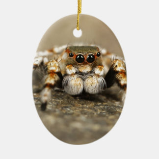 Tarantula Springende Vogelspin awesome accessoires Keramisch Ornament