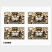 Tarantula Springende Vogelspin awesome accessoires Rechthoekige Sticker (Vel)