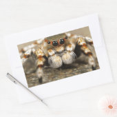 Tarantula Springende Vogelspin awesome accessoires Rechthoekige Sticker (Envelop)