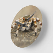 Tarantula Springende Vogelspin awesome accessoires Ronde Klok (Hoek)