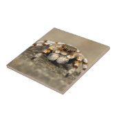 Tarantula Springende Vogelspin awesome accessoires Tegeltje (Zijkant)