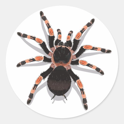Tarantula Sticker (Voorkant)