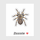 Tarantula Sticker (Vel)