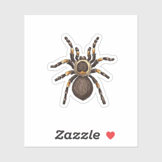 Tarantula Sticker (Vel)