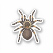 Tarantula Sticker (Voorkant)