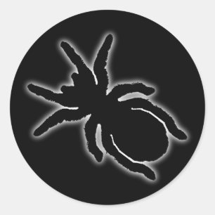 Tarantula Sticker