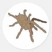 Tarantula Stickers (Voorkant)