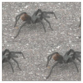 Tarantula Stof (Close Up)