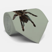 Tarantula Stropdas (Opgerold)