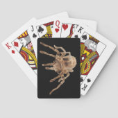 Tarantula-tapekaarten Pokerkaarten (Achterkant)
