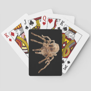 Tarantula-tapekaarten Pokerkaarten