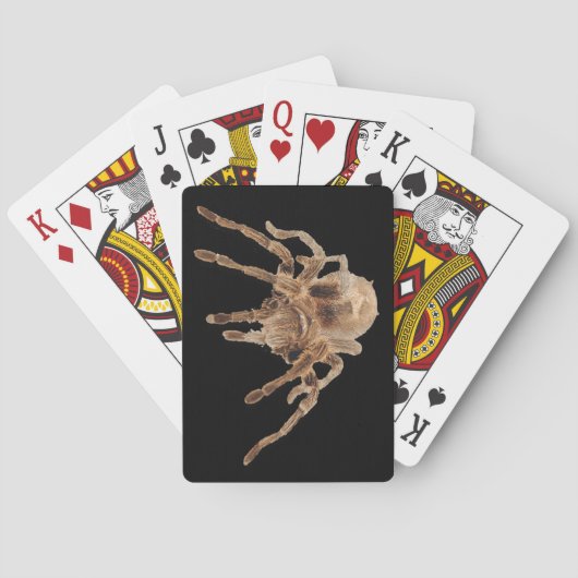 Tarantula-tapekaarten Pokerkaarten (Achterkant)