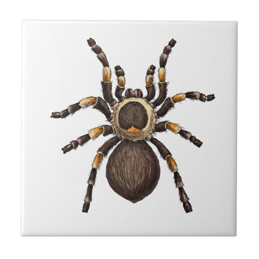 Tarantula Tegeltje (Voorkant)