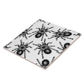 Tarantula Tegeltje (Zijkant)