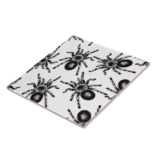 Tarantula Tegeltje (Zijkant)