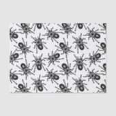 Tarantula Tissuepapier (Voorkant)