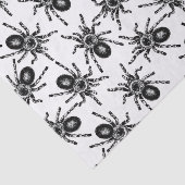 Tarantula Tissuepapier (Detail)