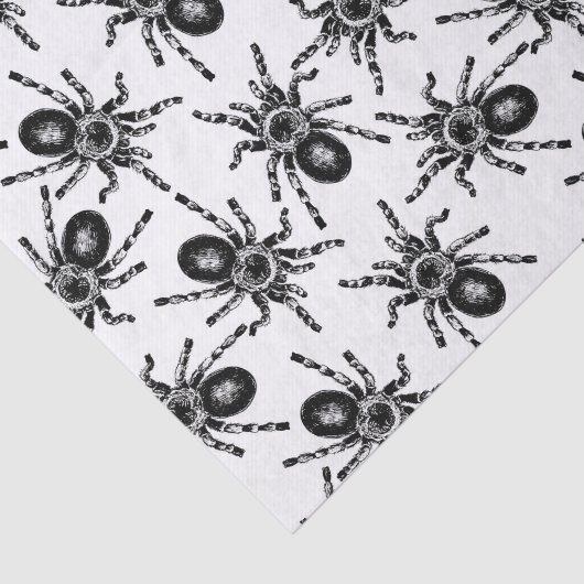 Tarantula Tissuepapier (Detail)