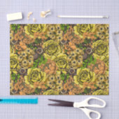 Tarantula tuin 1 tissuepapier (Craft)