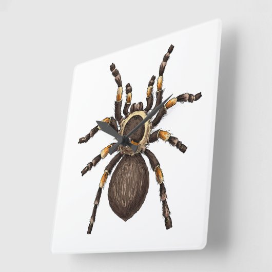 Tarantula Vierkante Klok (Hoek)