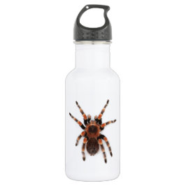 Tarantula Waterfles