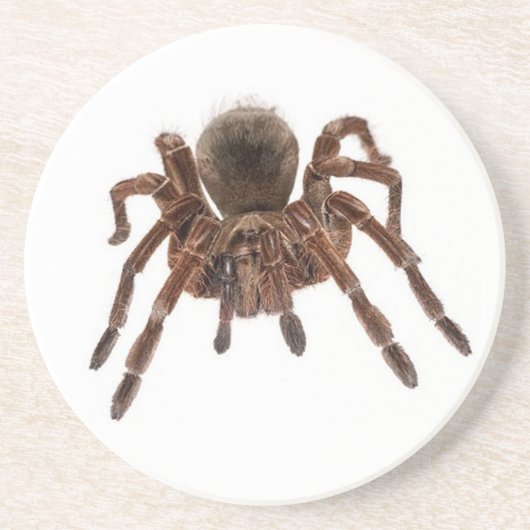 TARANTULA ZANDSTEEN ONDERZETTER (Voorkant)