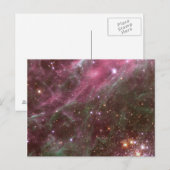 Tarantulanevel briefkaart (Voorkant / Achterkant)