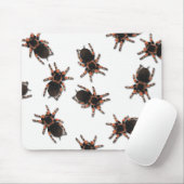 Tarantulas aanpassen muismat (Met muis)