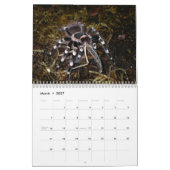Tarantulas Wall Agenda Kalender (Mar 2027)