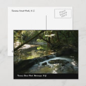 Tararua Forest Park, Wairarapa, N.Z. Briefkaart (Voorkant / Achterkant)