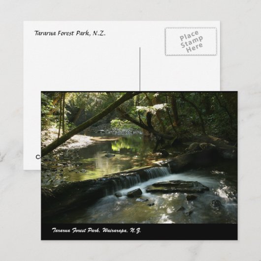 Tararua Forest Park, Wairarapa, N.Z. Briefkaart (Voorkant / Achterkant)