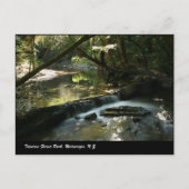 Tararua Forest Park, Wairarapa, N.Z. Briefkaart (Voorkant)